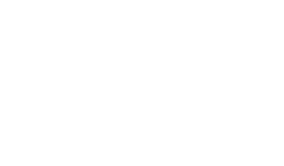 Noble Stein Brewing Co.