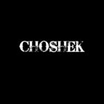 725 the Pennsylvania Rock Show featuring Choshek